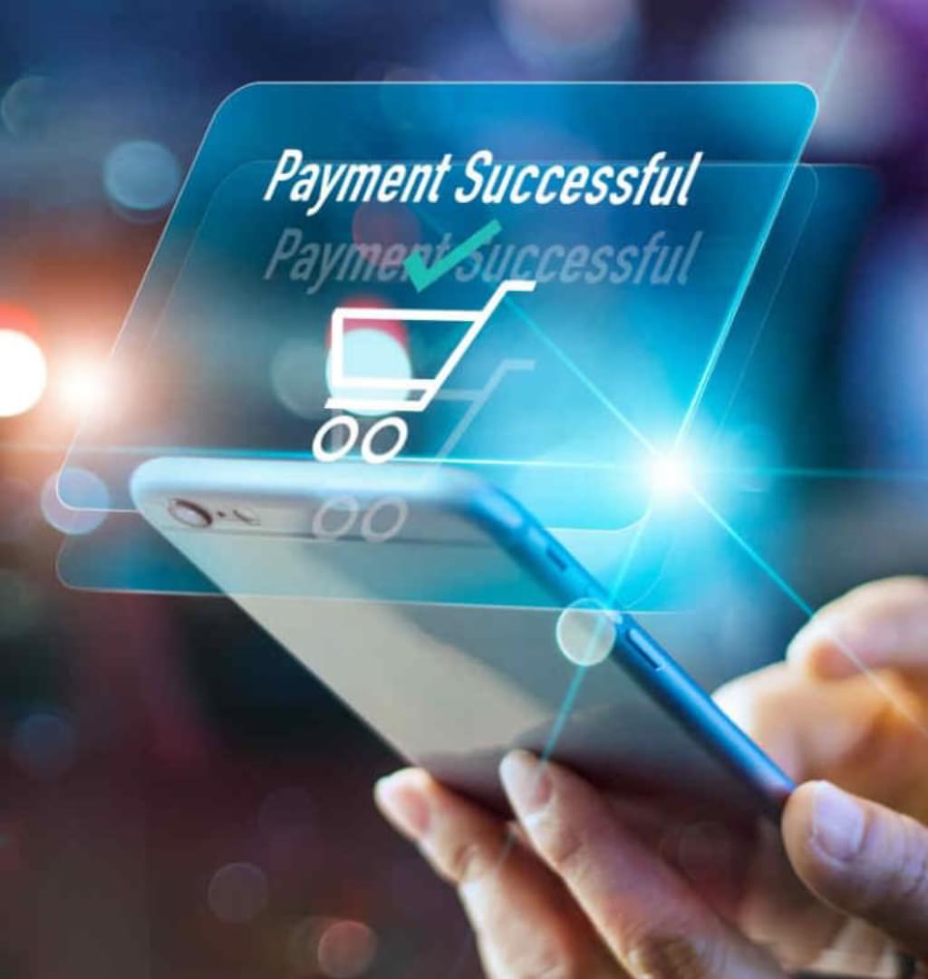 bnpl-buy-now-paid-lots