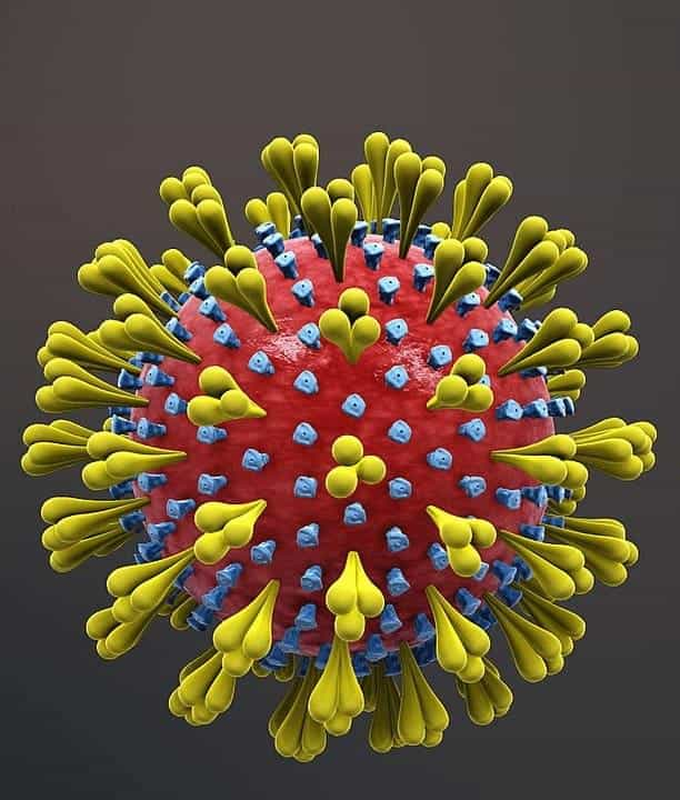 coronavirus-cell-structure