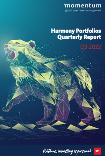 momentum-harmony-portfolio-updates-q4-2021